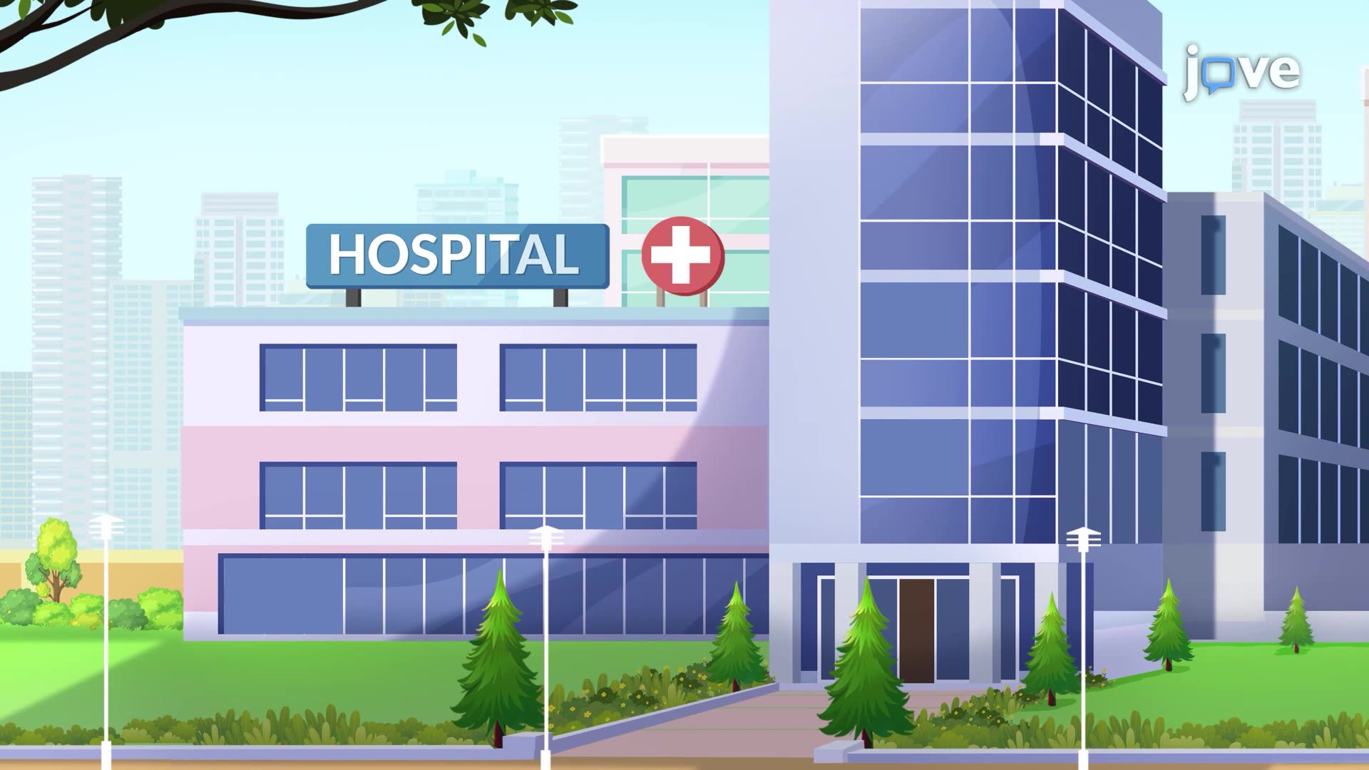 Hospitals